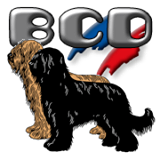 logo_bcd2